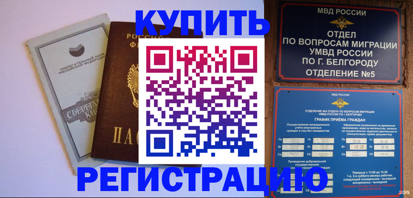 прописка гарантия в Саранске